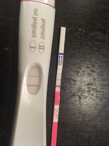 23972584_10102598730904451_775263854_n